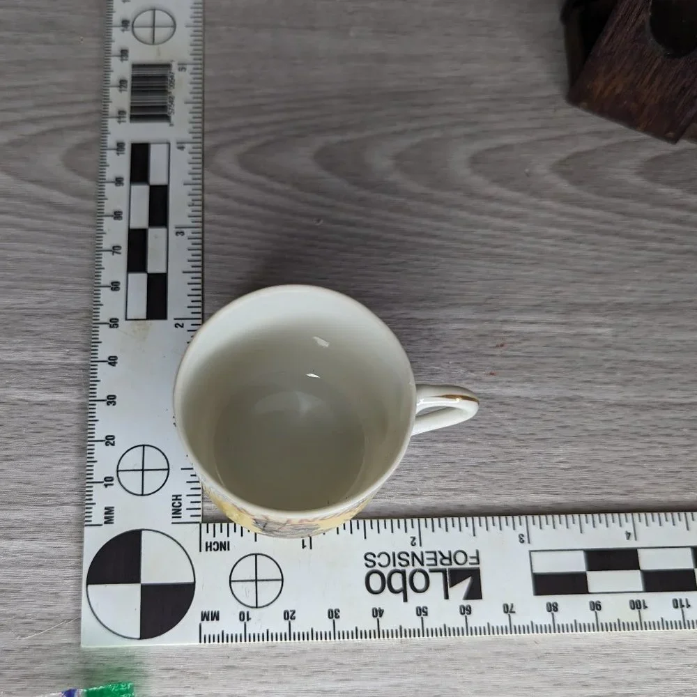 Vintage Ceramic Illinois Souvenir Miniature Mug & Plate